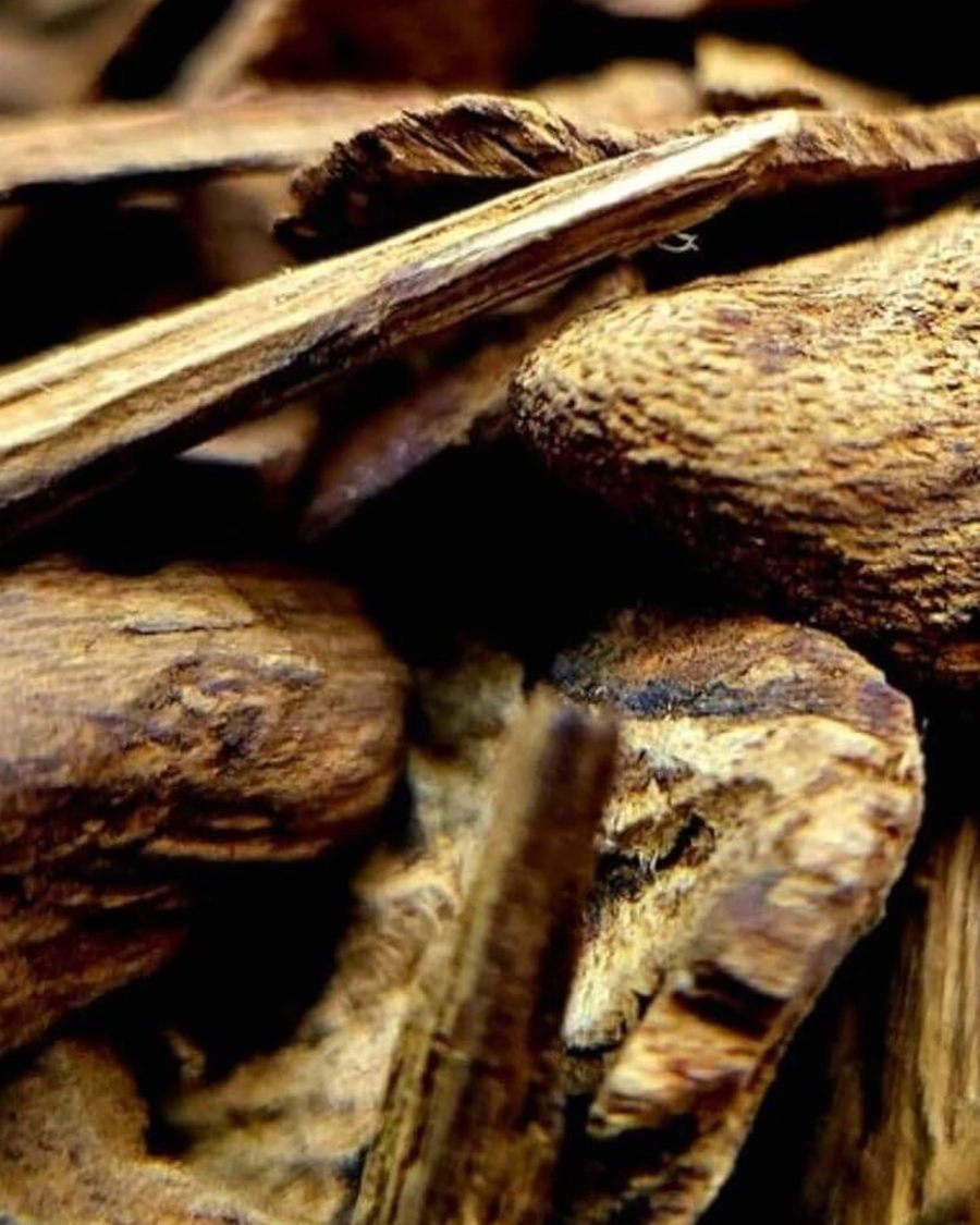 عود كاليمولتان — مؤسسة أعواد الهندية